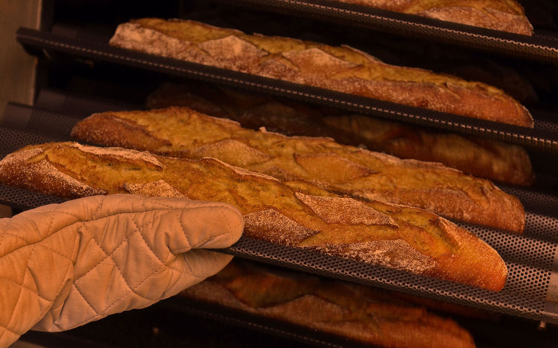Montreal fresh baguettes